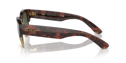 Ray-Ban RB0316S 990/31