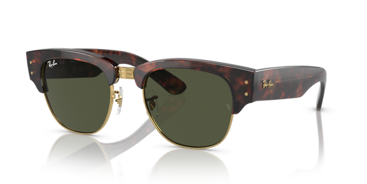 Ray-Ban RB0316S