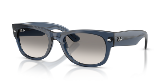 Ray-Ban RB0832S