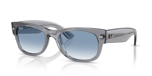 Ray-Ban RB0832S