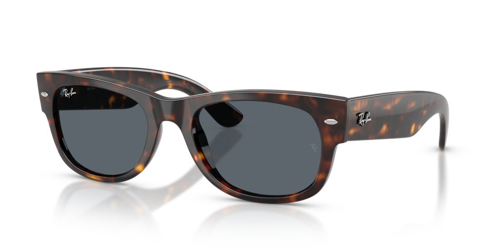 Ray-Ban RB0832S