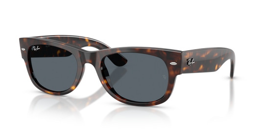 Ray-Ban RB0832S