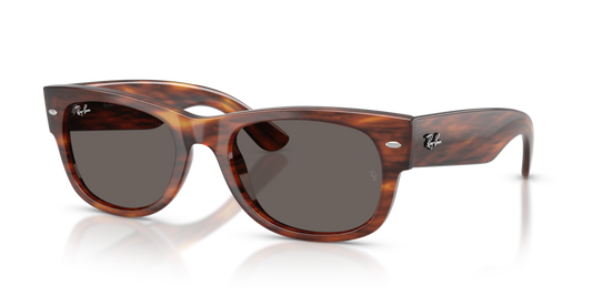 Ray-Ban RB0832S