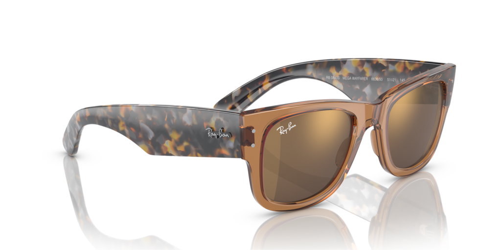 Ray-Ban RB0840S 663693