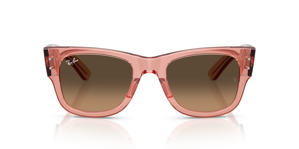 Ray-Ban RB0840S 684843