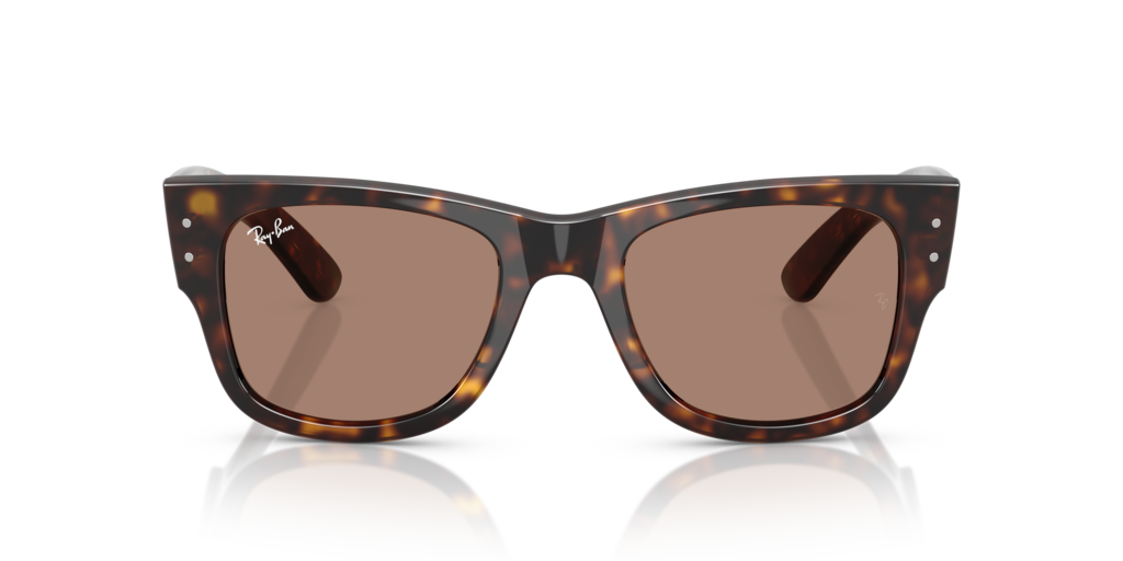 Ray-Ban RB0840S 902/1A