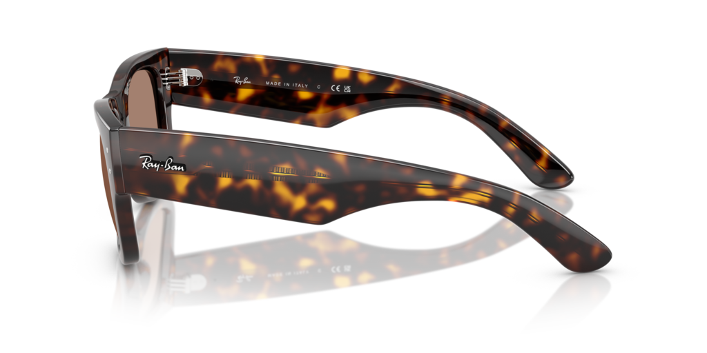 Ray-Ban RB0840S 902/1A