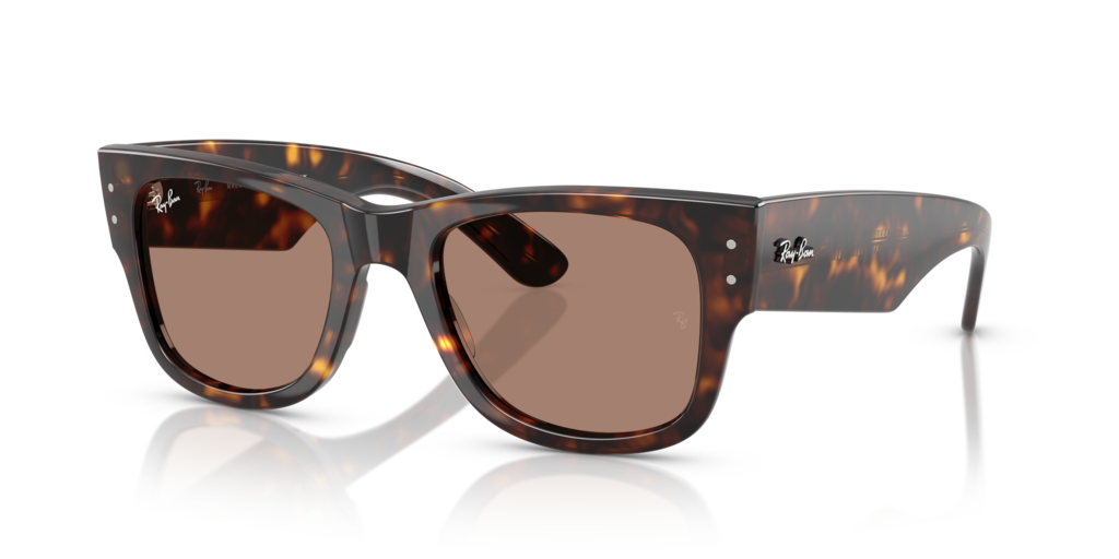Ray-Ban RB0840S
