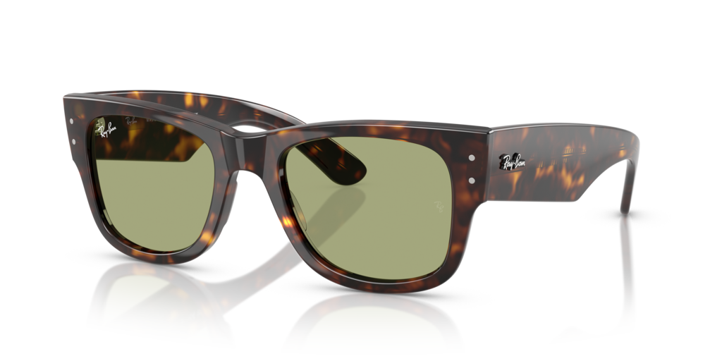 Ray-Ban RB0840S