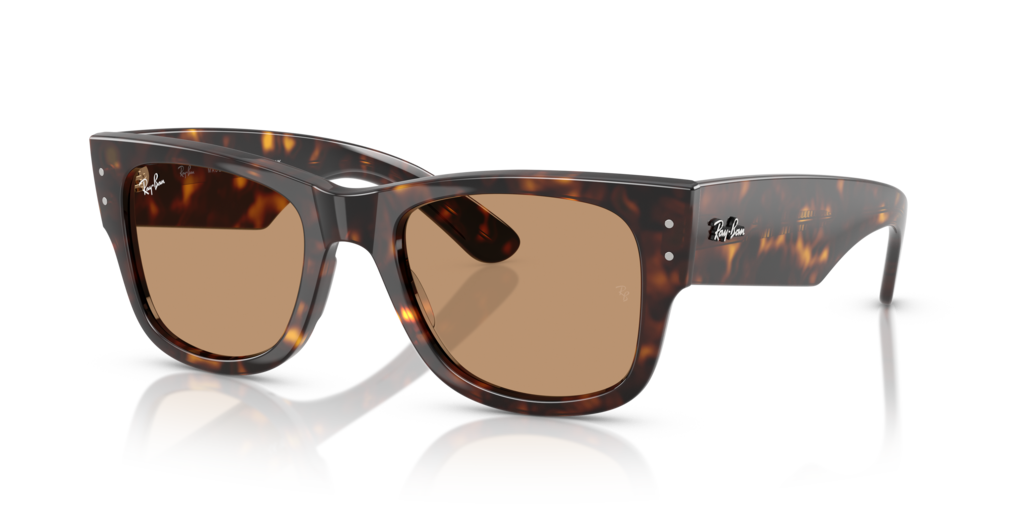 Ray-Ban RB0840S