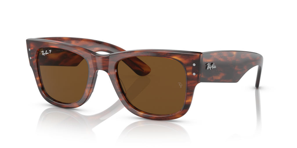 Ray-Ban RB0840S