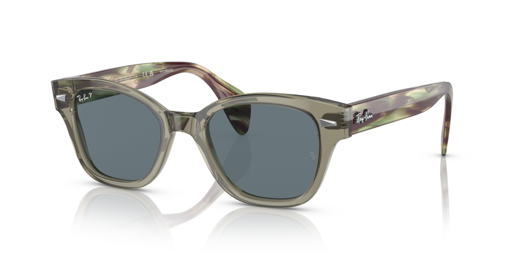 Ray-Ban RB0880S