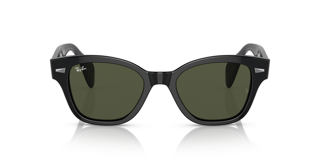 Ray Ban RB0880S 901/31 Güneş Gözlükleri