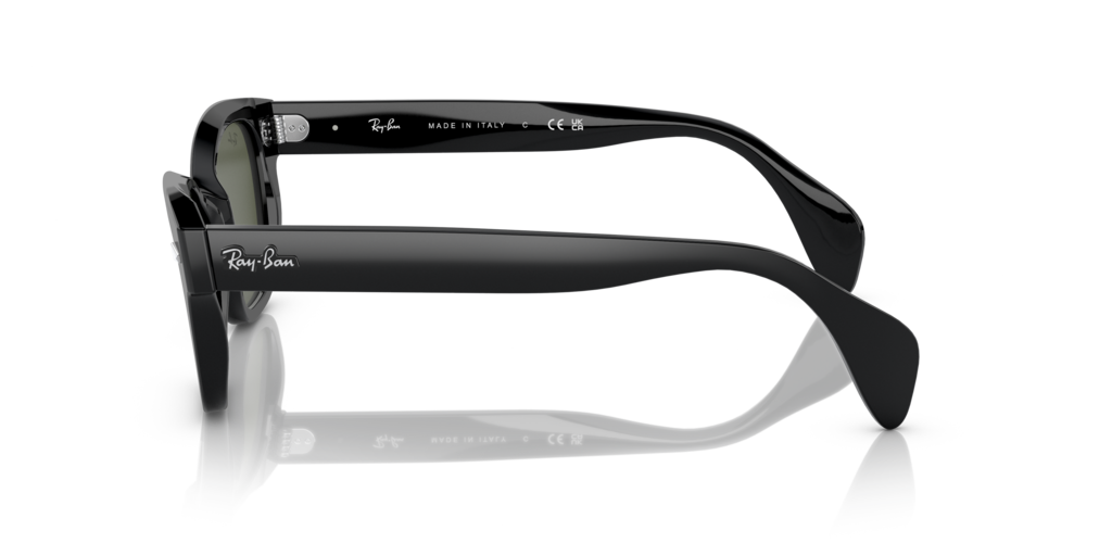 Ray Ban RB0880S 901/31 Güneş Gözlükleri