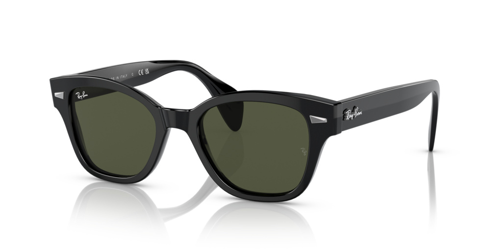 Ray Ban RB0880S 901/31 Güneş Gözlükleri
