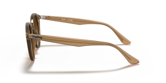 Ray-Ban RB2180 616613