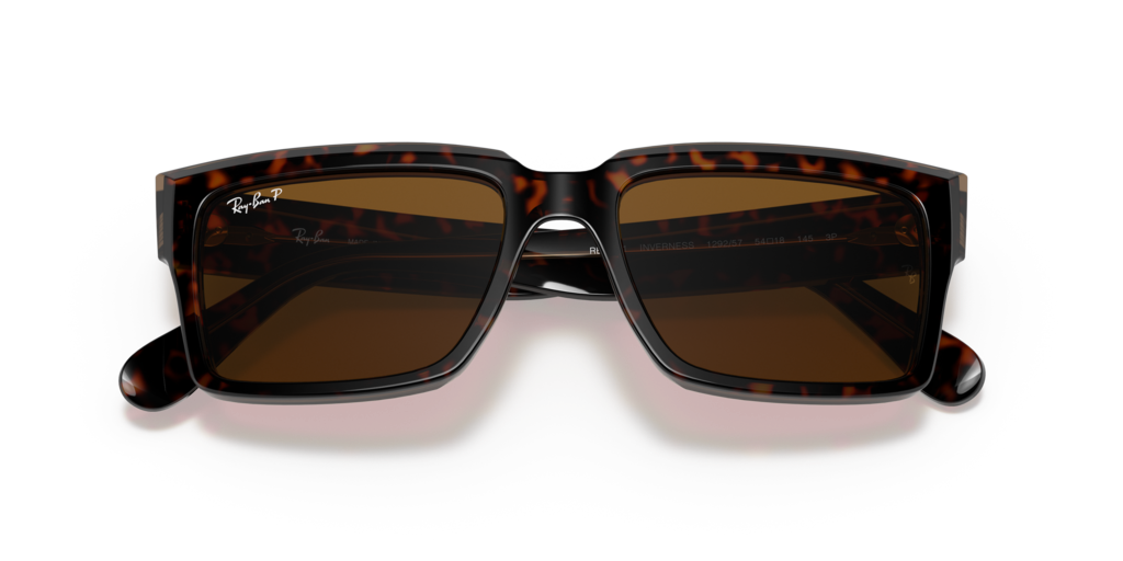 Ray-Ban RB2191 129257