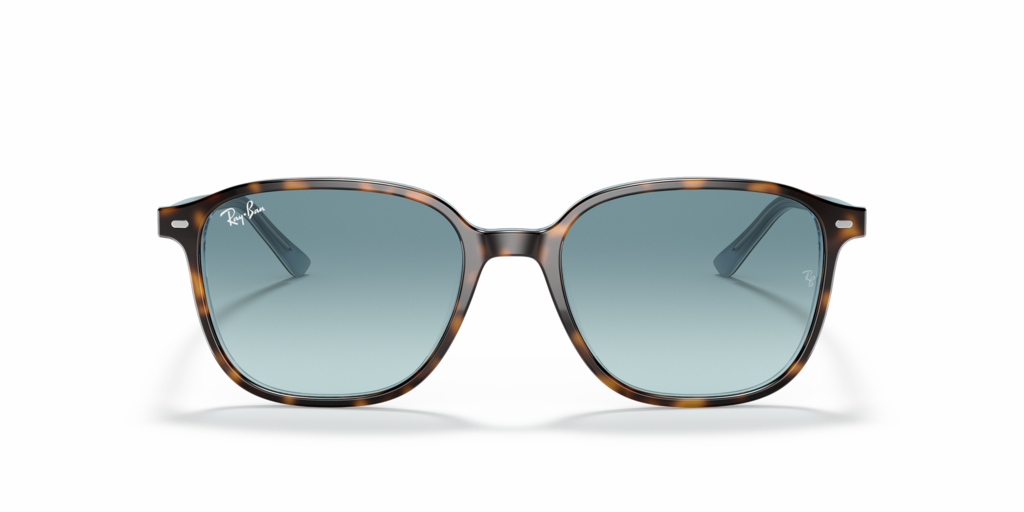 Ray Ban RB2193 13163M Güneş Gözlükleri