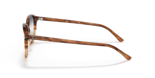 Ray-Ban RB2193 1328GD