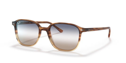 Ray-Ban RB2193 1328GD