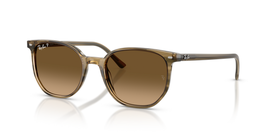 Ray-Ban RB2197
