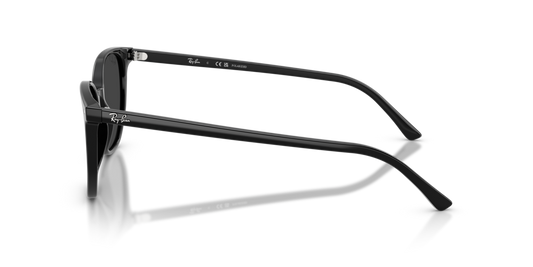 Ray-Ban RB2197 901/48