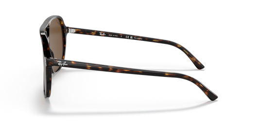 Ray-Ban RB2198 902/57