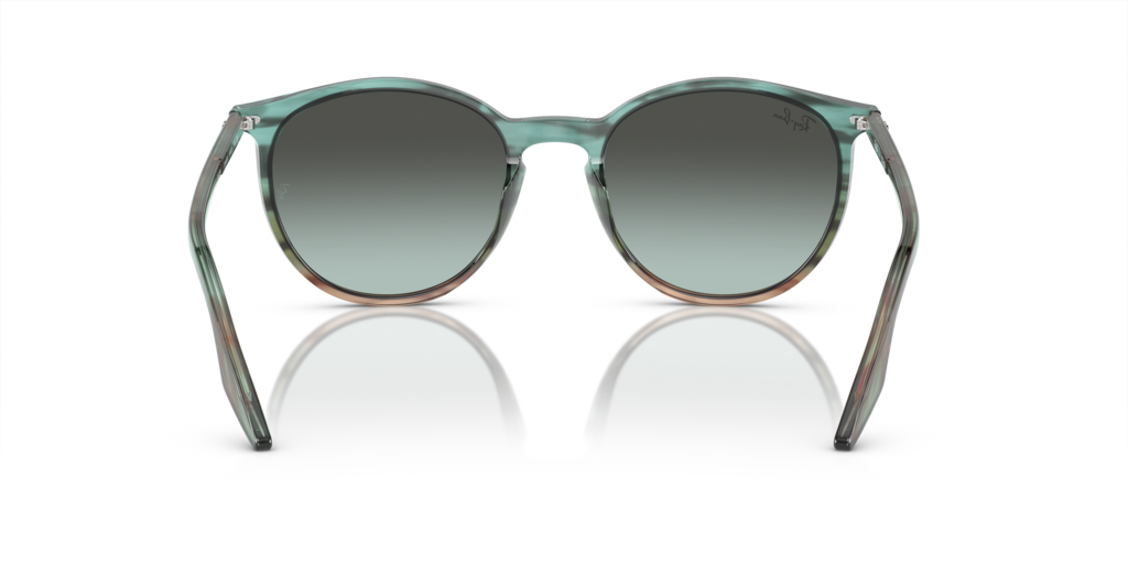 Ray-Ban RB2204 1394GK