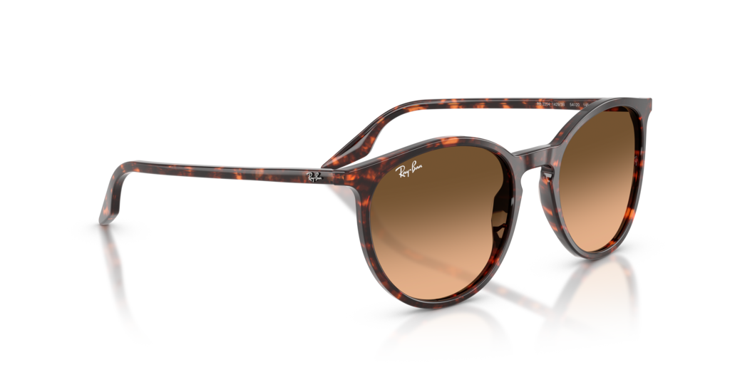 Ray-Ban RB2204 14293B