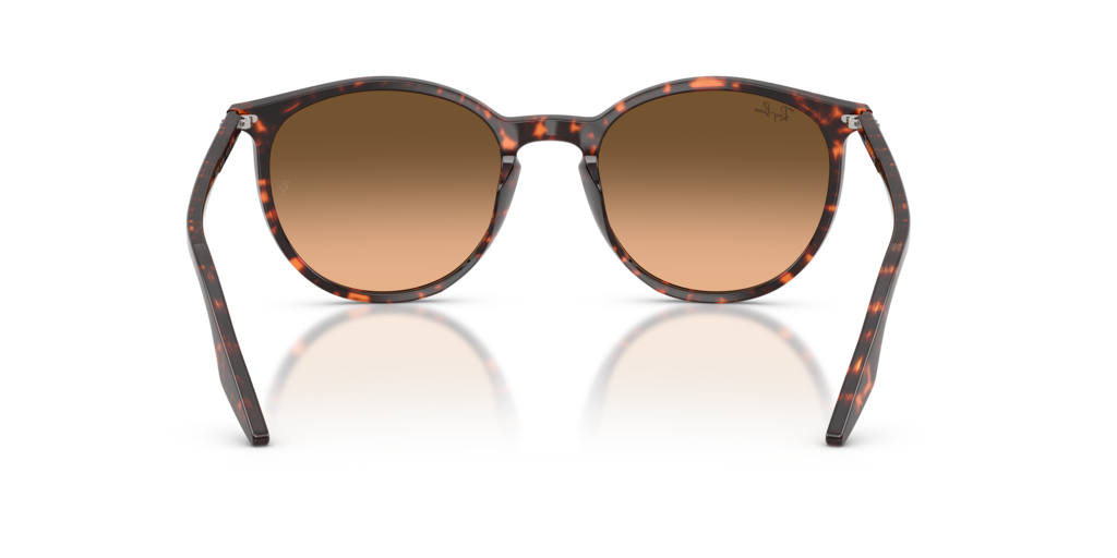 Ray-Ban RB2204 14293B