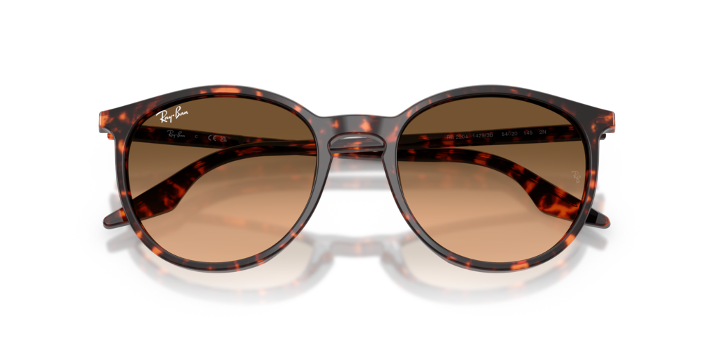 Ray-Ban RB2204 14293B