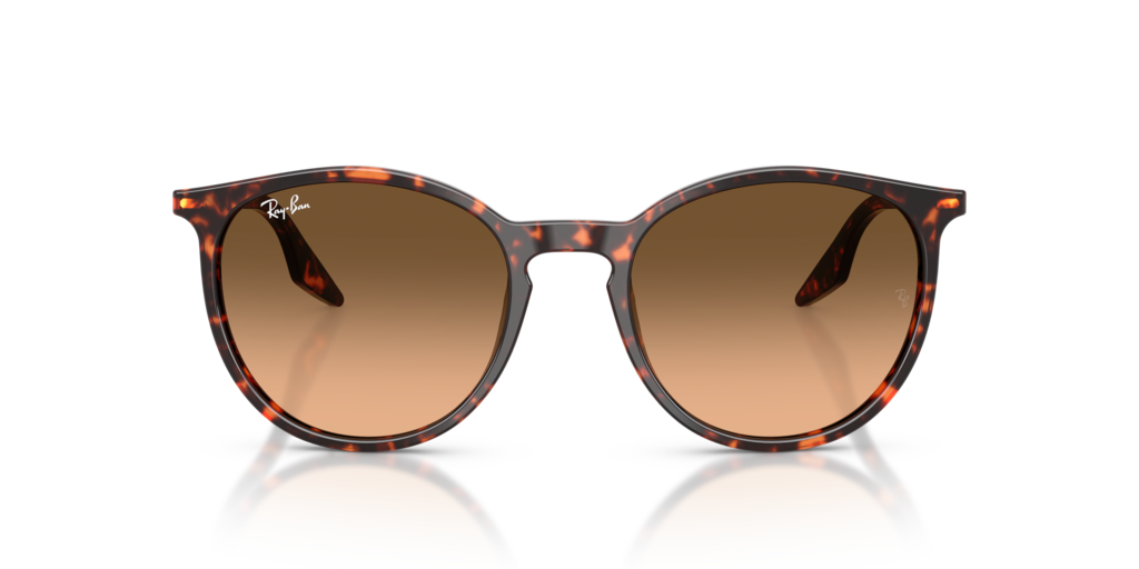Ray-Ban RB2204 14293B