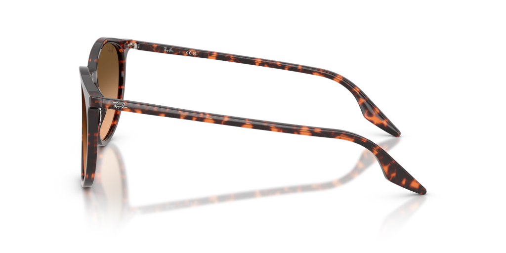 Ray-Ban RB2204 14293B