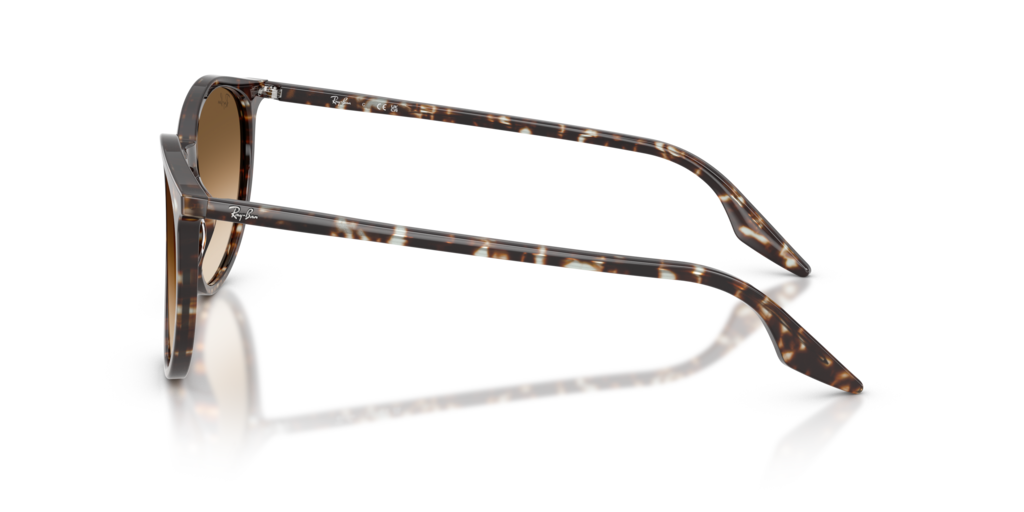Ray-Ban RB2204 143151