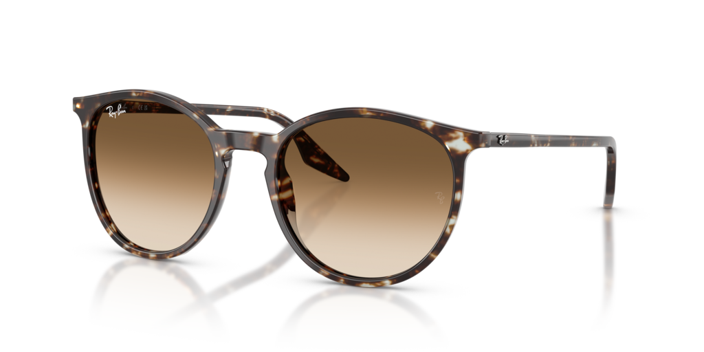 Ray-Ban RB2204