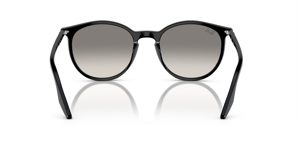 Ray-Ban RB2204 901/32