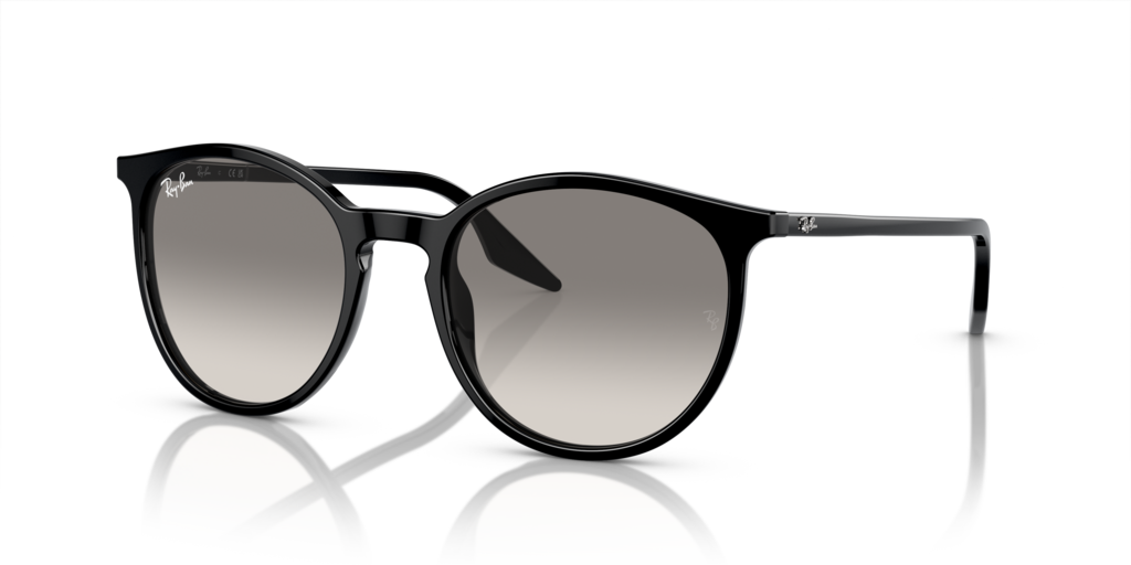 Ray-Ban RB2204