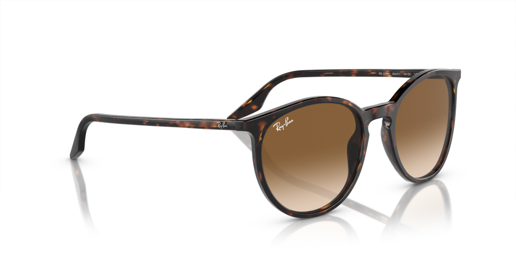 Ray-Ban RB2204 902/51