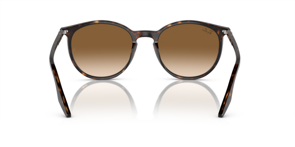 Ray-Ban RB2204 902/51