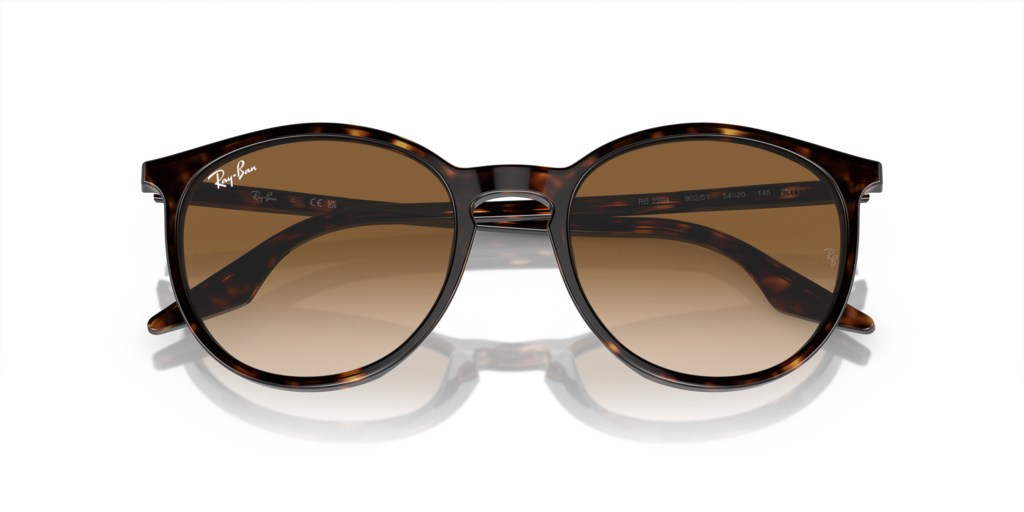 Ray-Ban RB2204 902/51