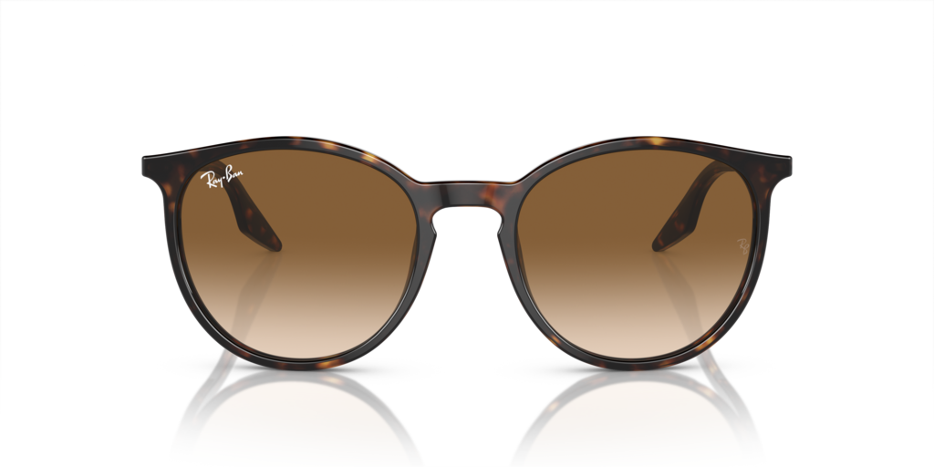 Ray-Ban RB2204 902/51