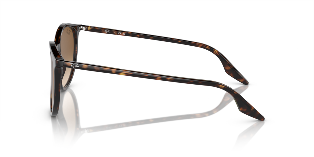 Ray-Ban RB2204 902/51