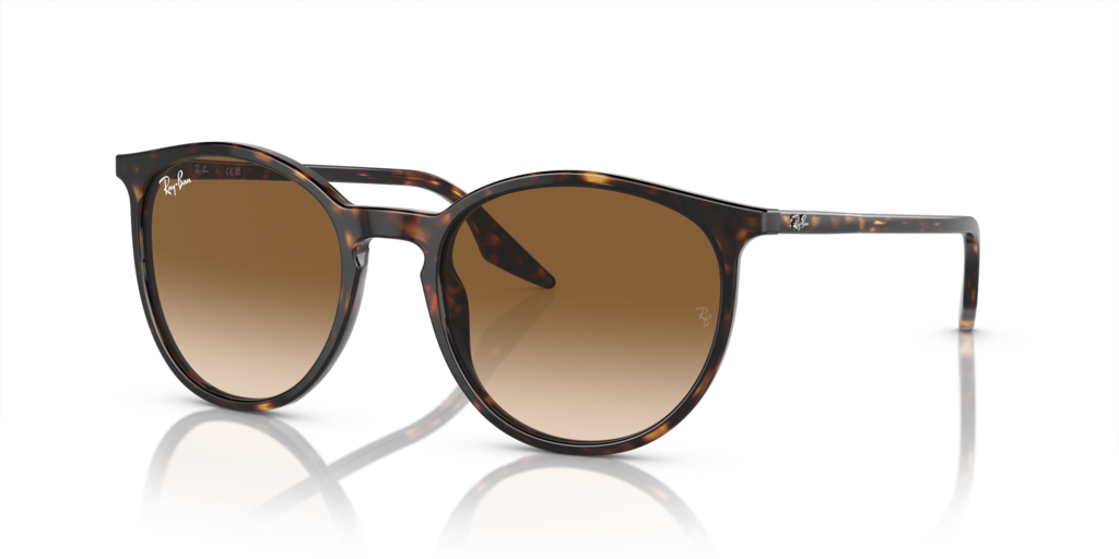 Ray-Ban RB2204
