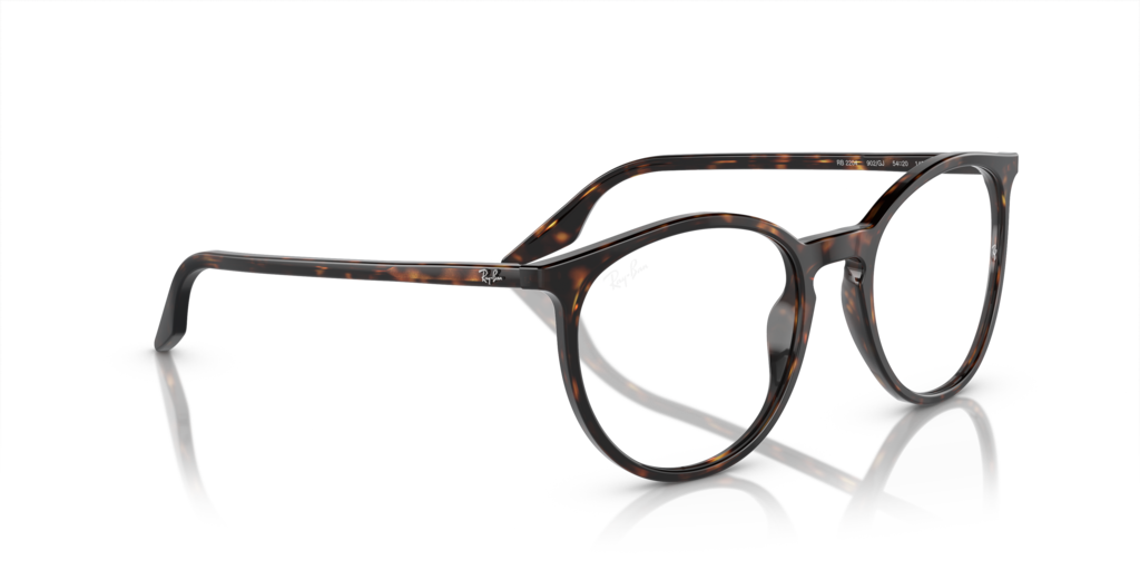 Ray-Ban RB2204 902/GJ