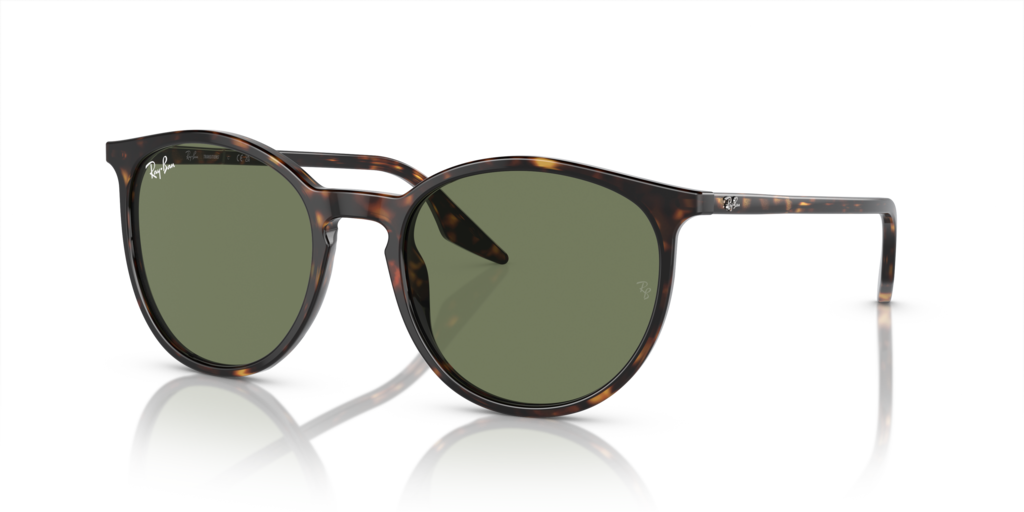 Ray-Ban RB2204 902/GJ