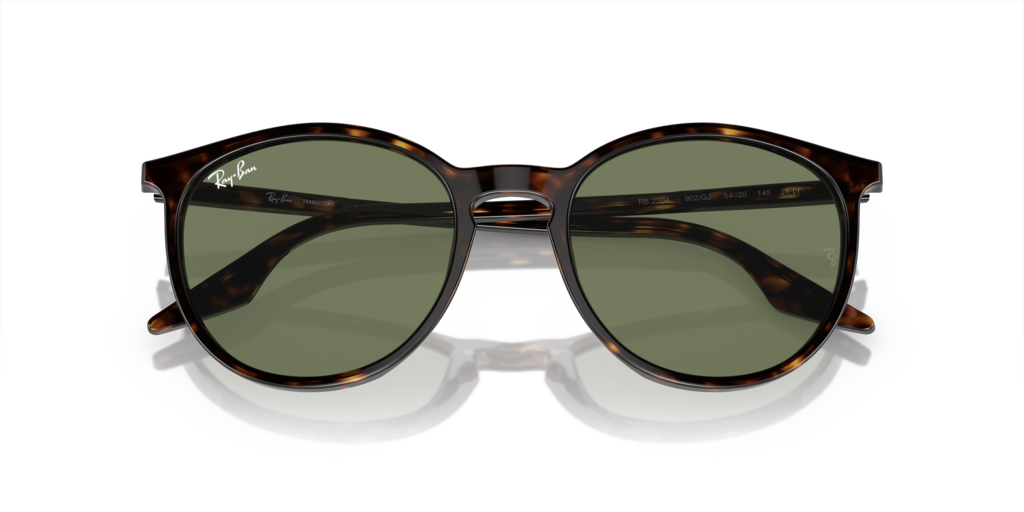 Ray-Ban RB2204 902/GJ