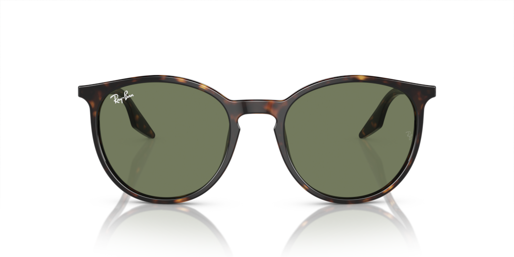 Ray-Ban RB2204 902/GJ