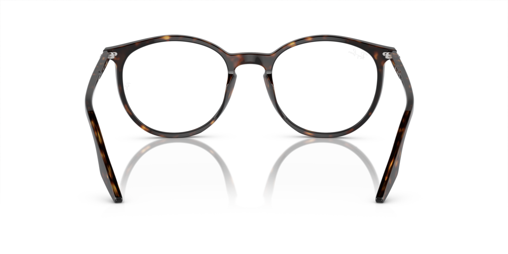 Ray-Ban RB2204 902/GJ