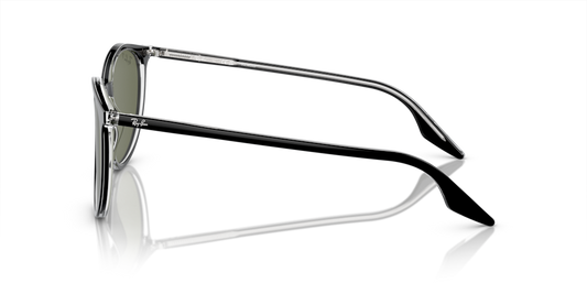 Ray-Ban RB2204 919/58