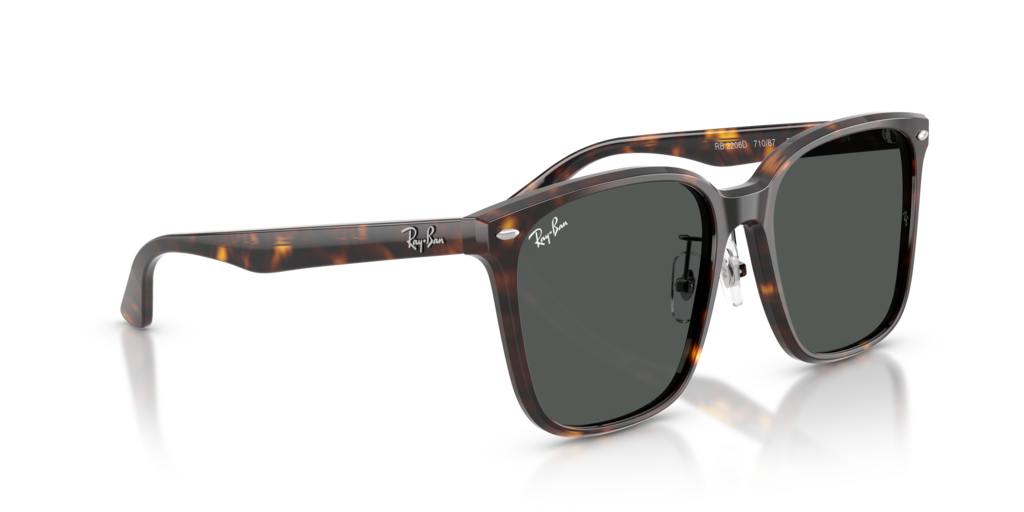Ray-Ban RB2206D 710/87